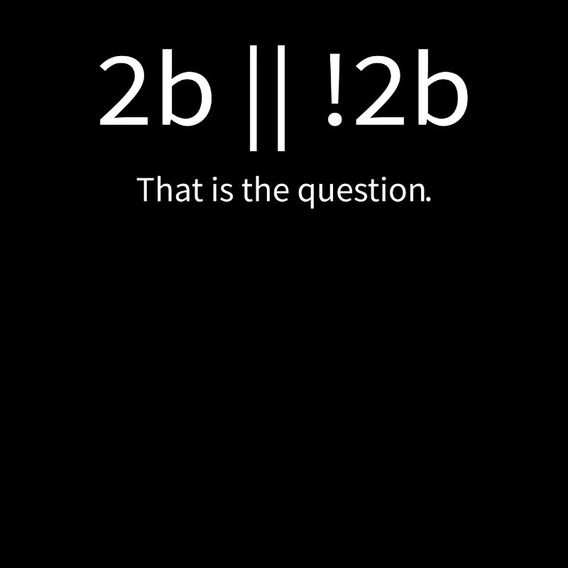 2b lustiger cooler Programmierer sein oder nicht sein