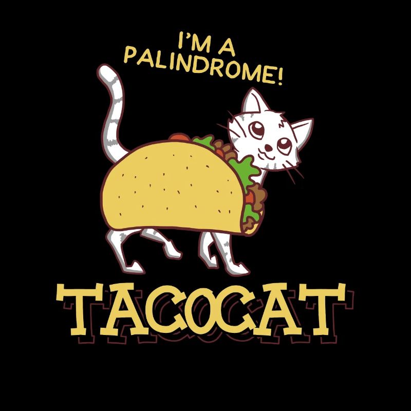Taco Cat Funny Pun Kitten Bekleidung