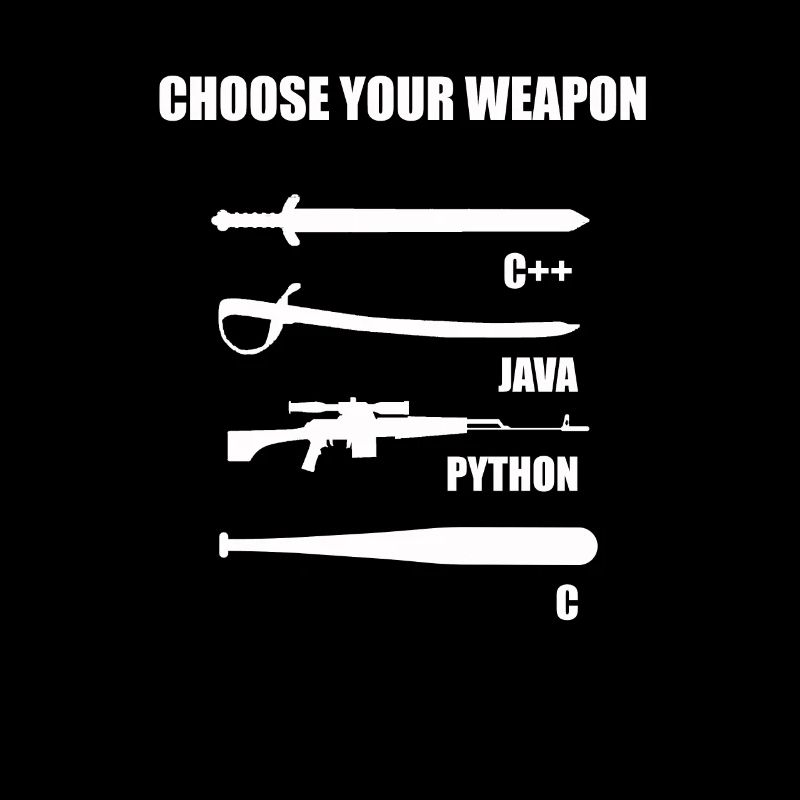 Funny developer IT theme for computer scientist