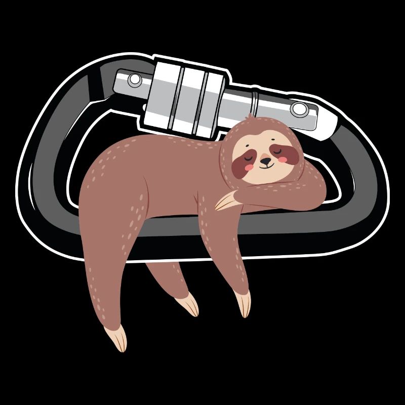 Climbing Sloth Sleeping On A Carabiner