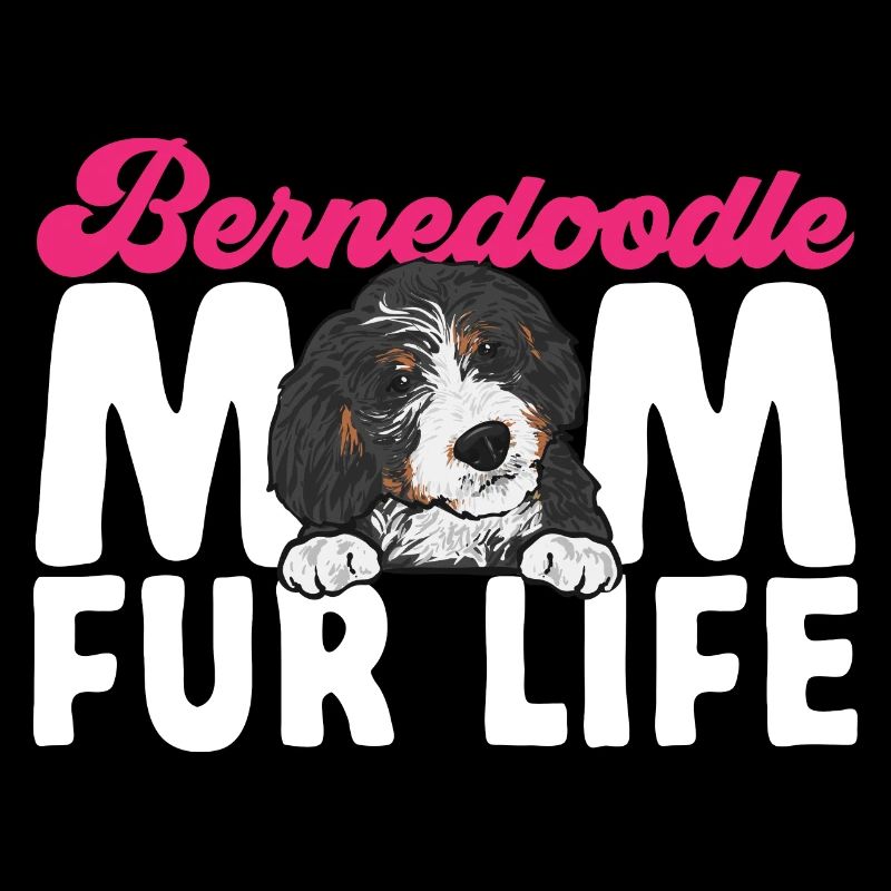 Bernedoodle Dog