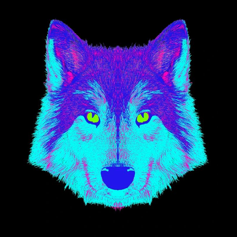 Wolf EDM