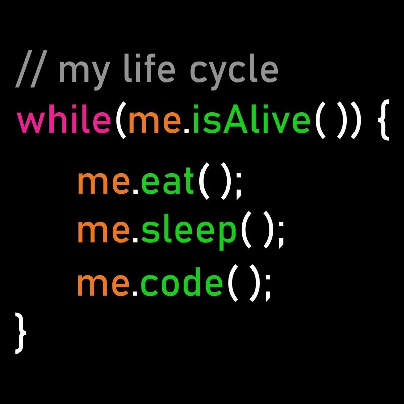 Programmer life cycle computer scientist coder gift