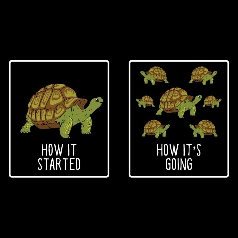 Tortoise Fan Turtle Funny How It Started How It's