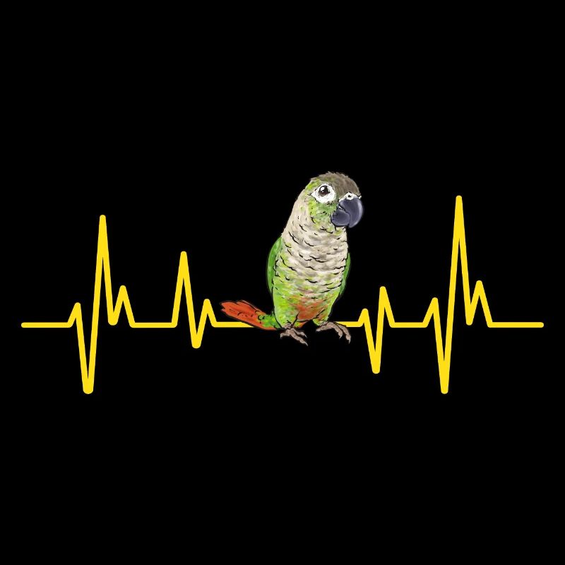 Molina Perruche Perroquet Perruche Oiseau Perruche