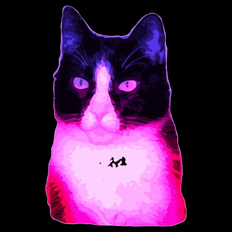 Katze Katzen cat