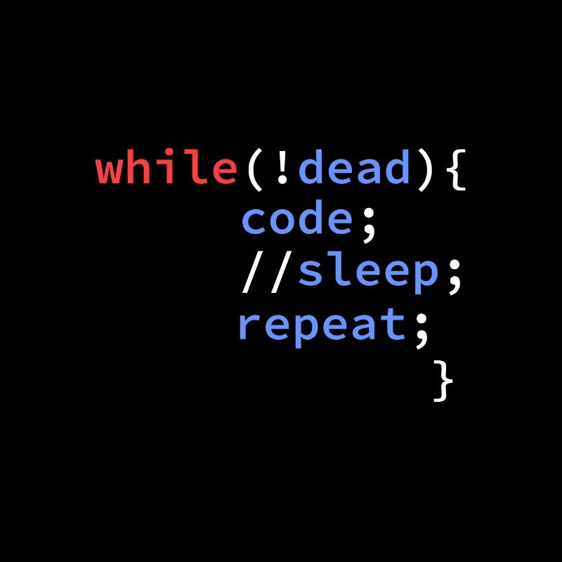 développeur informatique programmeur codeur
