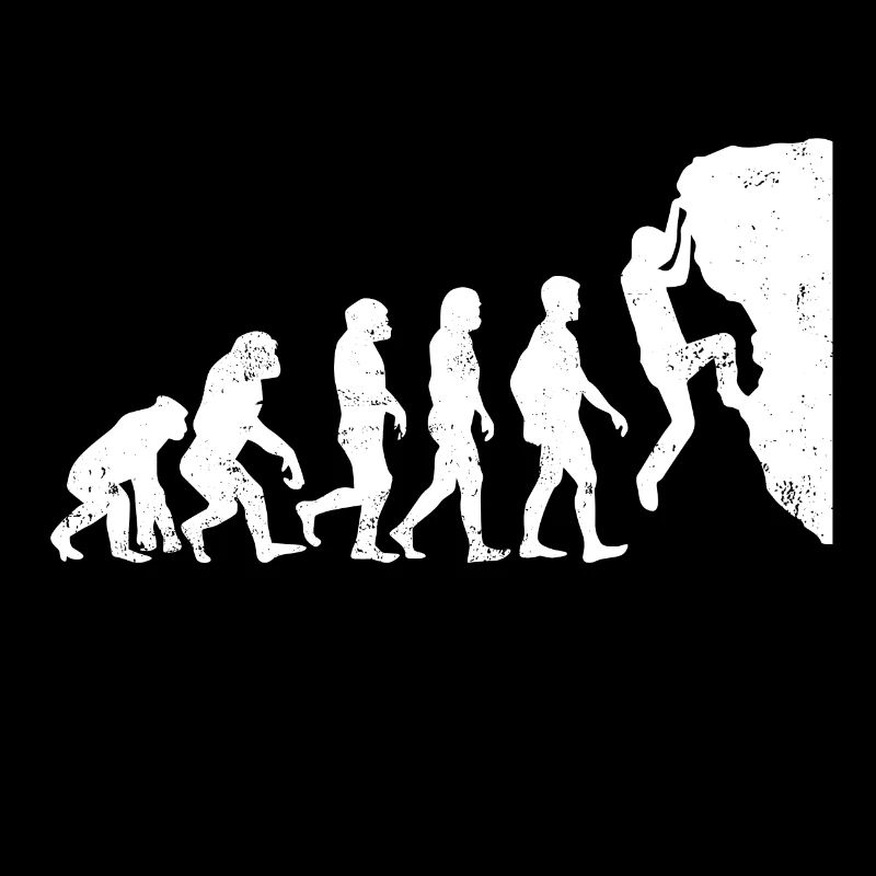 Evolution Rock Climber