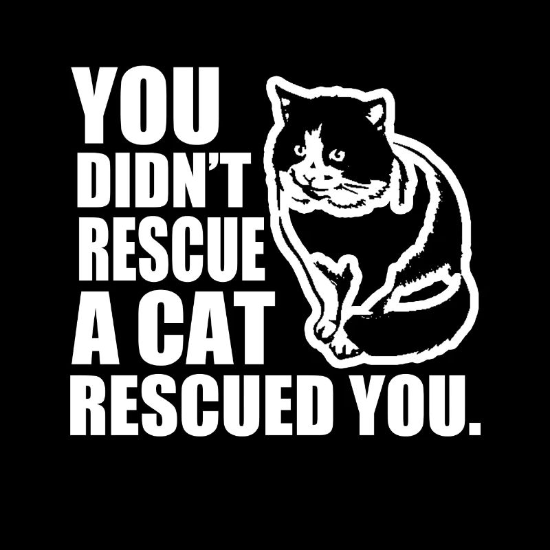 mignon un chat vous a sauvé