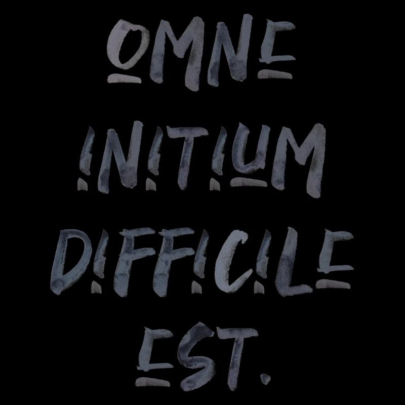 all beginning is difficult Latin quotation scripture