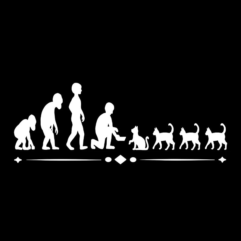 The evolutionary development cat - human