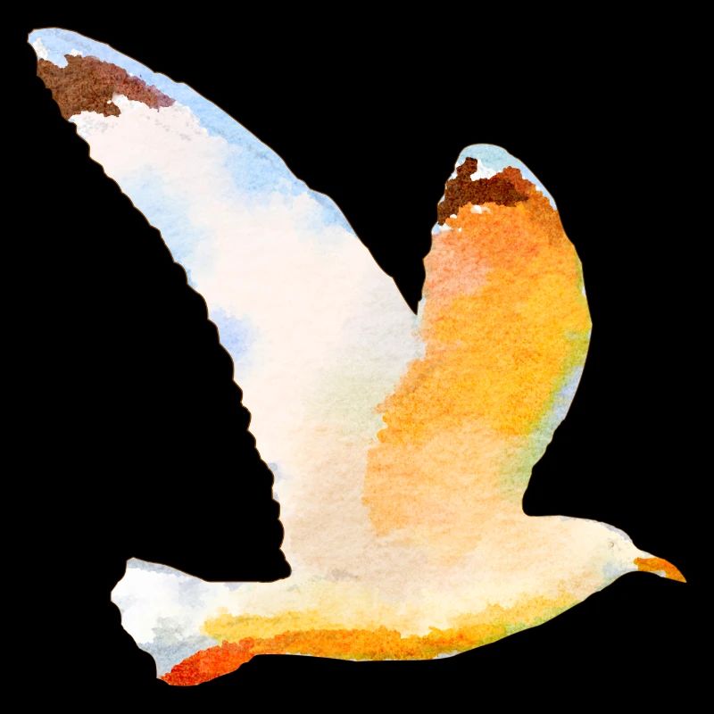 Moewe im Flug Vogel Urlaub