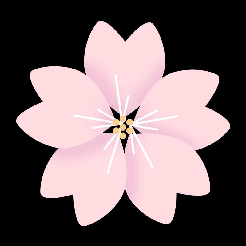 Cherry flower