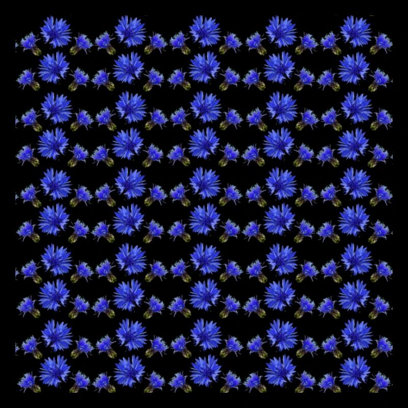 Cornflower Pattern, Gift Woman