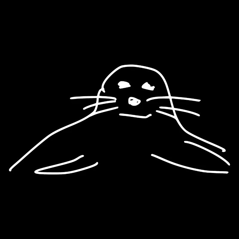 phoques phoques phoques animaux