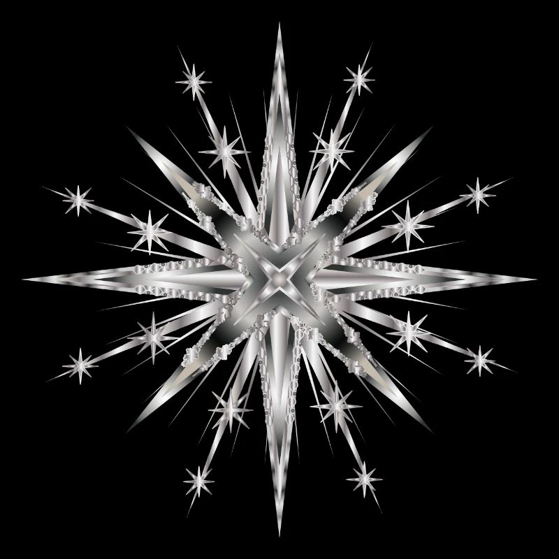 Silver glamorous timeless star