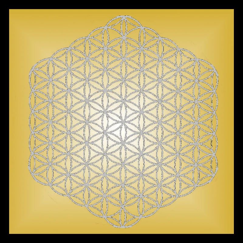 Blume des Lebens silber - 5. Dimension