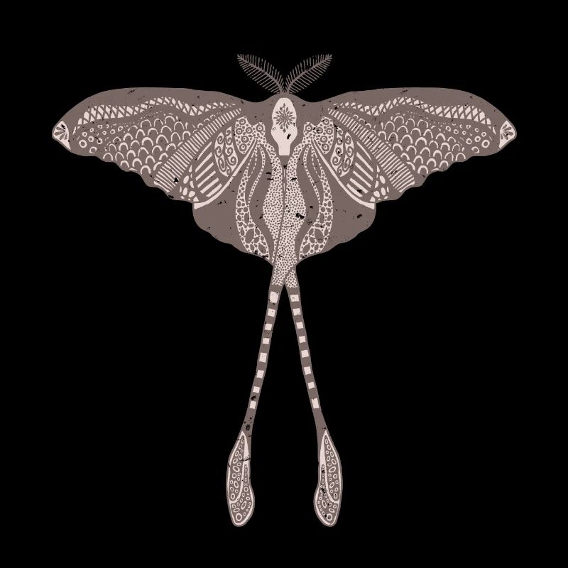 Papillon de lune chinois - Luna Moon Moth