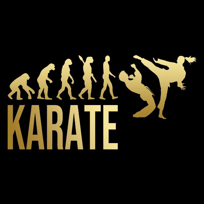 Evolution Karate