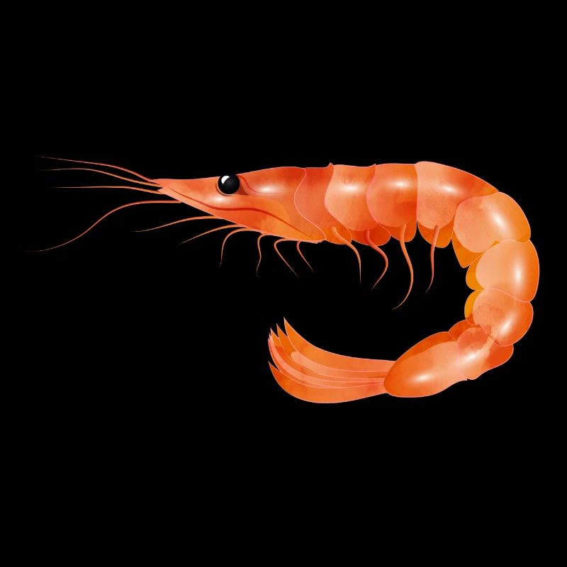 rosarote Garnele oder Shrimp von Hand gezeichnet