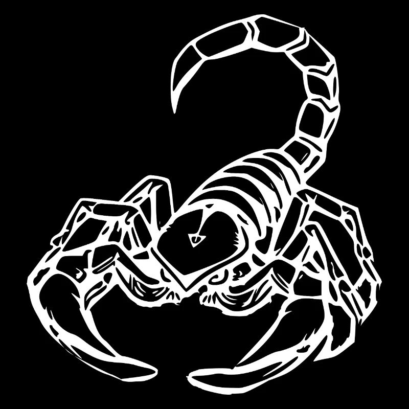 Skorpion Sternzeichen T-shirt Geschenk