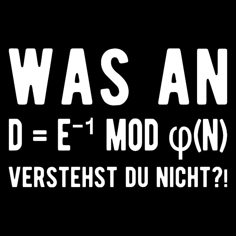 Computer Scientist Computer Science Student Programmer