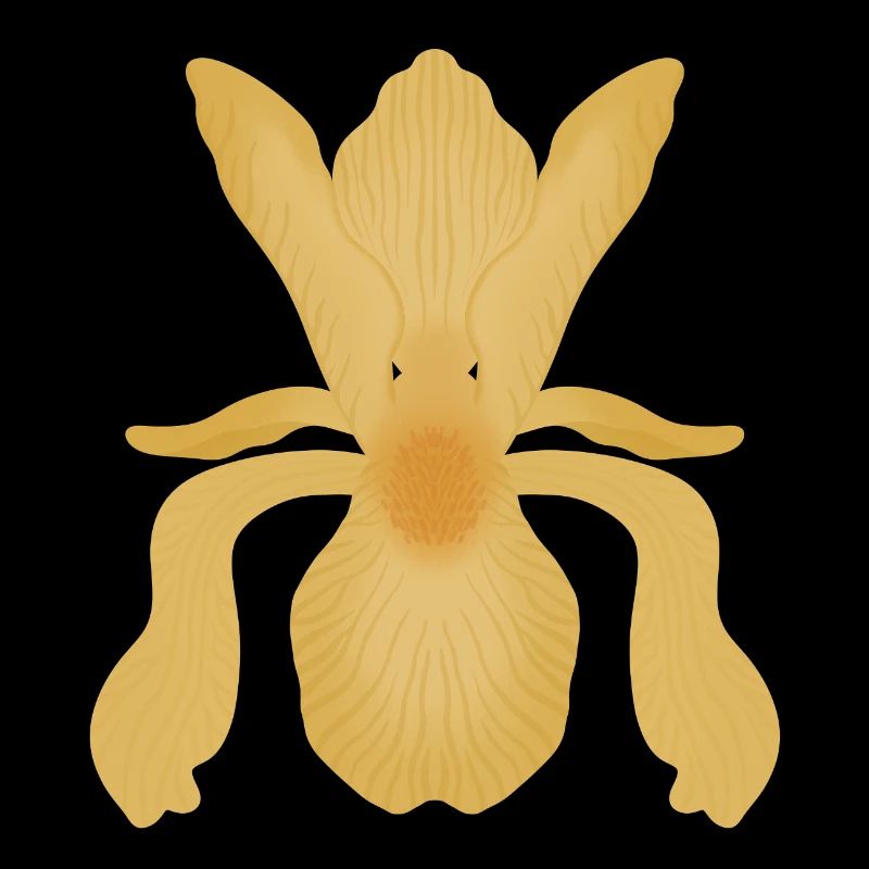 Floraison d’Iris doré