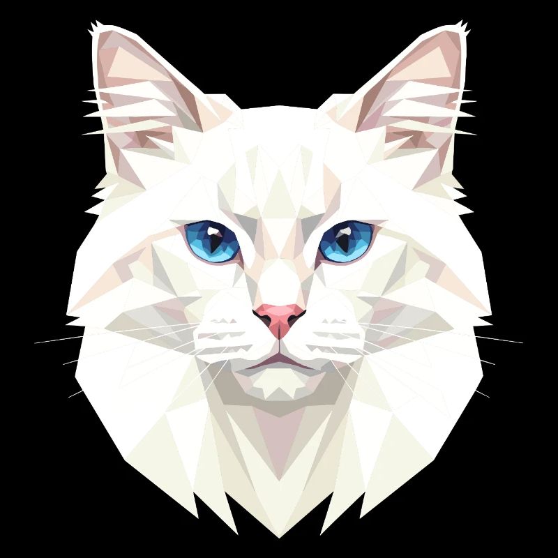 Chat Angora Chat Angora Chat Angora Mignons Chats Angora