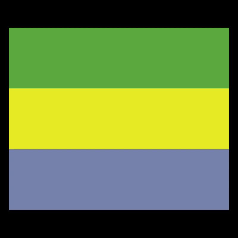 Drapeau gabonais