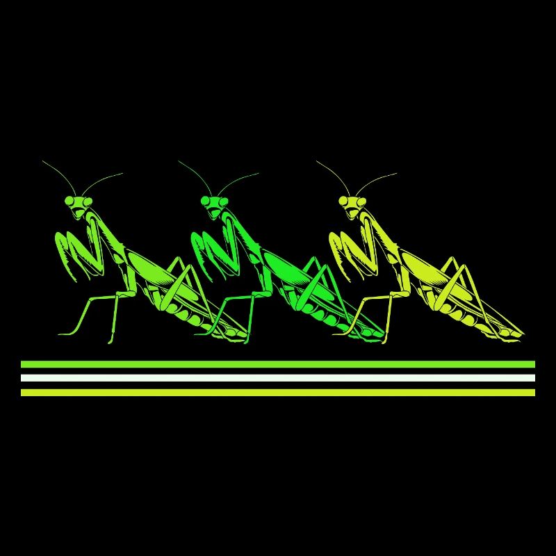 Mantis Gottesanbeter Gottesanbeterin