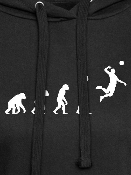 Evolution volleyball 
