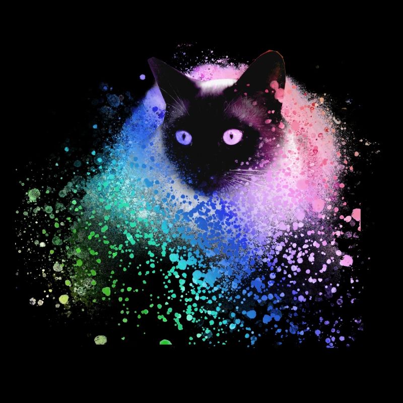 siam katze,bunt,graffit,imalerei kunst,katze,grün