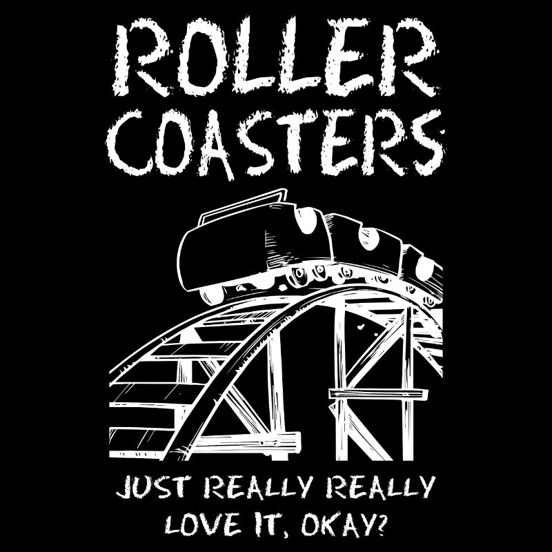 Roller Coaster Just Really Love It