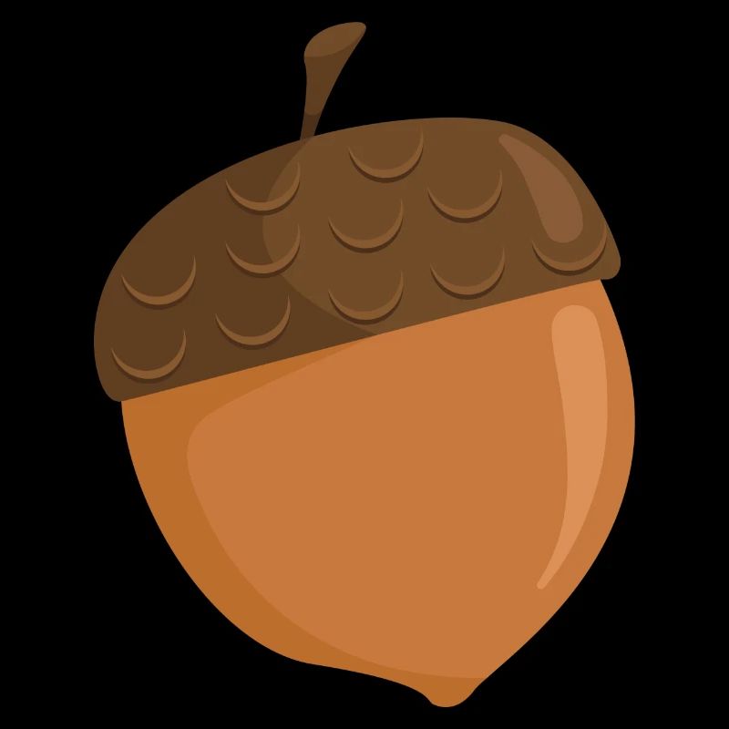 Acorn