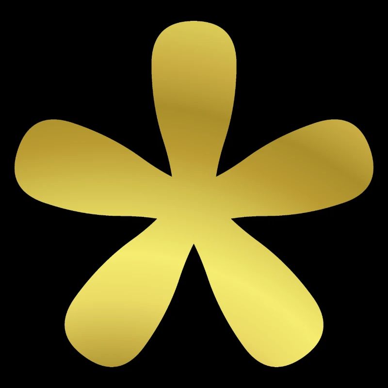 Idée cadeau astérisque fleur d’or astérisque or