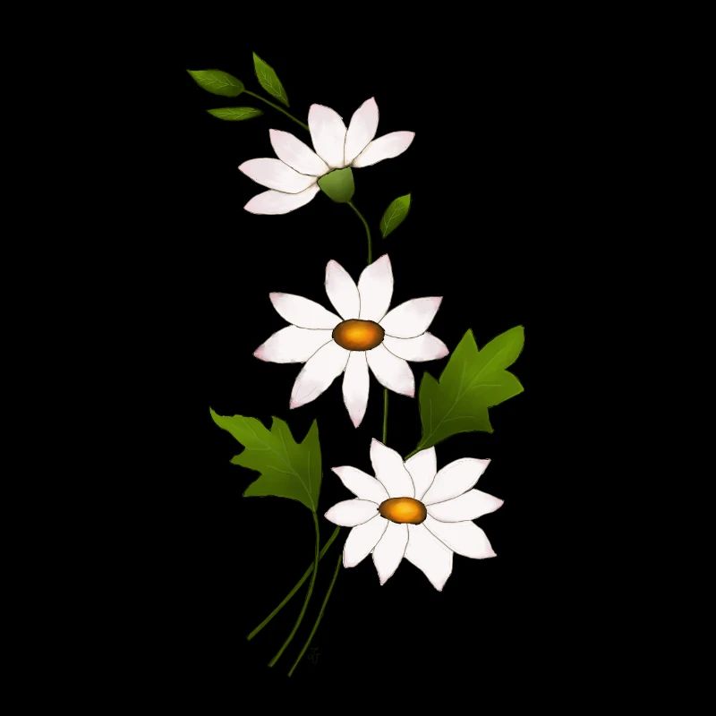 Gänseblümchenblüten