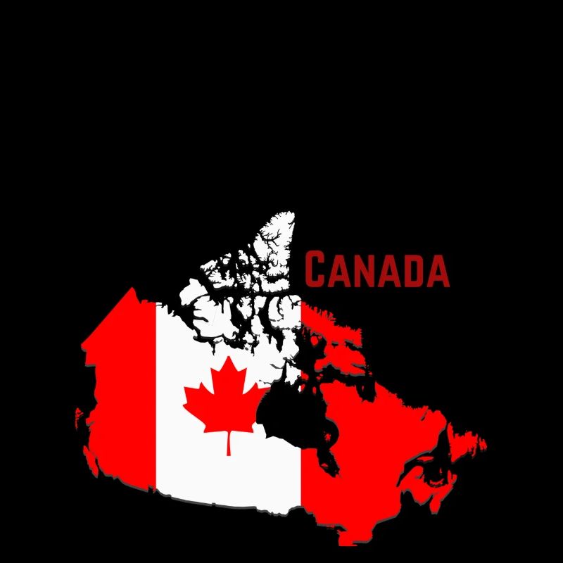 Toronto Canada Canada Drapeau Canada Fan de drapeau canadien