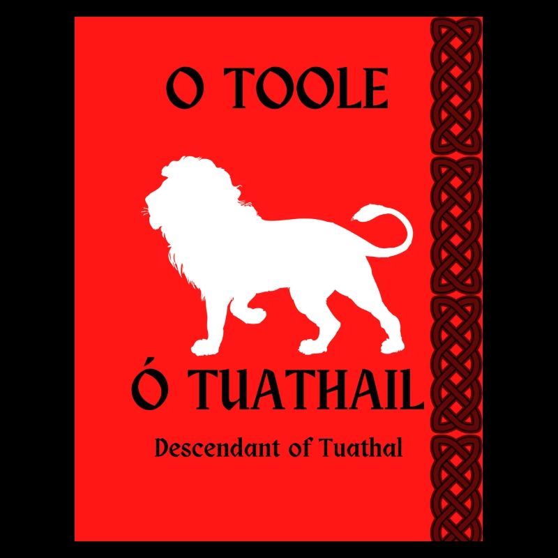 O Toole Surname