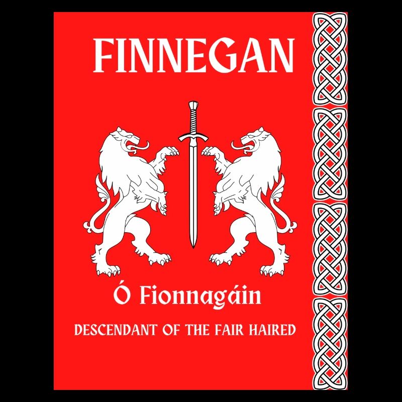FINNEGAN SURNAME