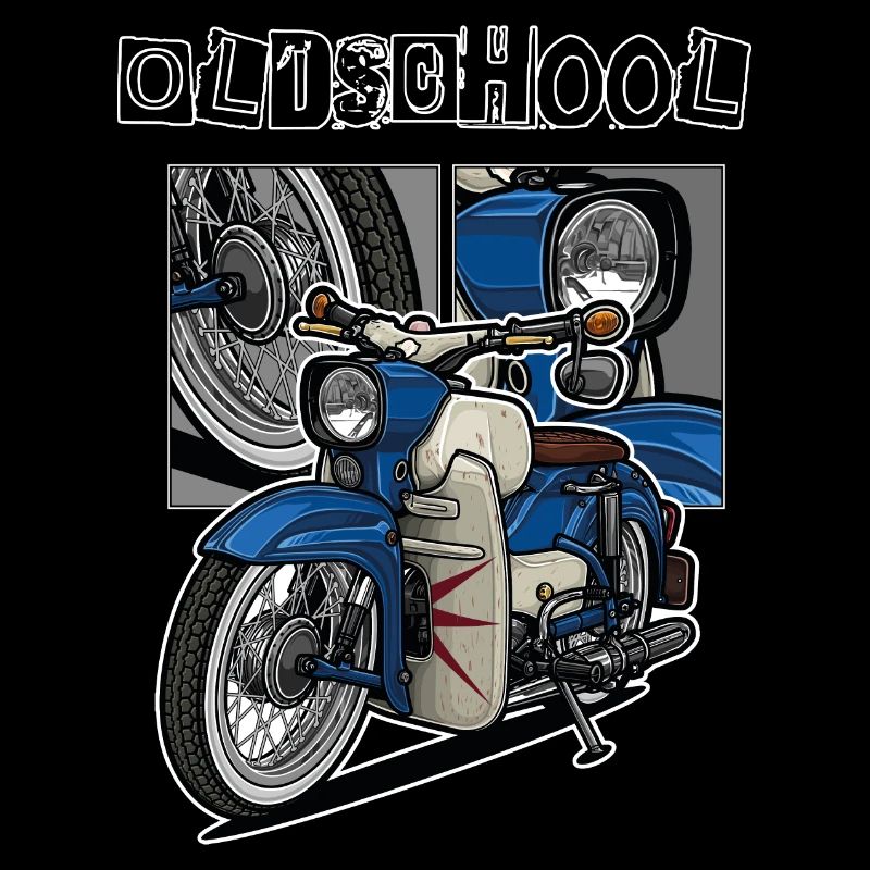 Sperber // Illustration