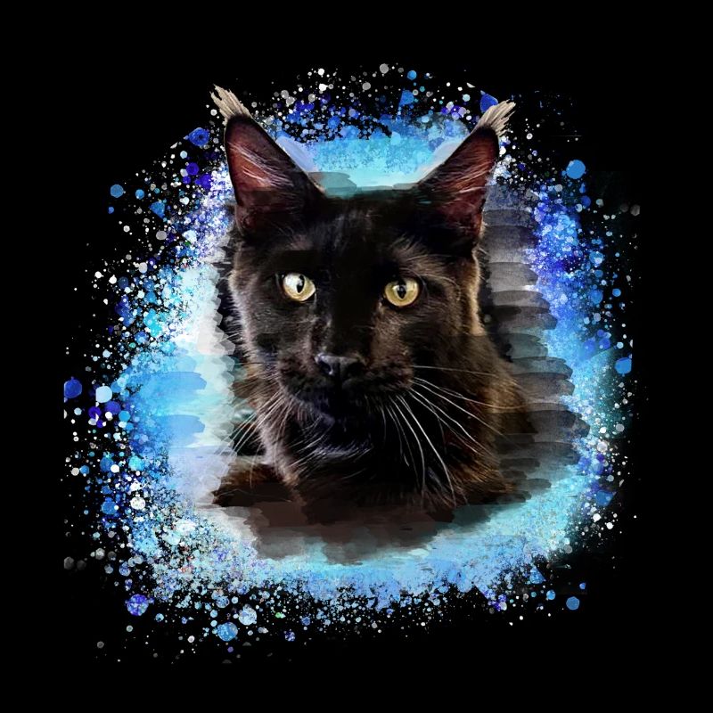 maincoon,katze,graffiti,malerei, Maine-Coon-Katze