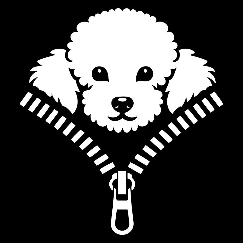 Petit caniche caché dans une fermeture éclair