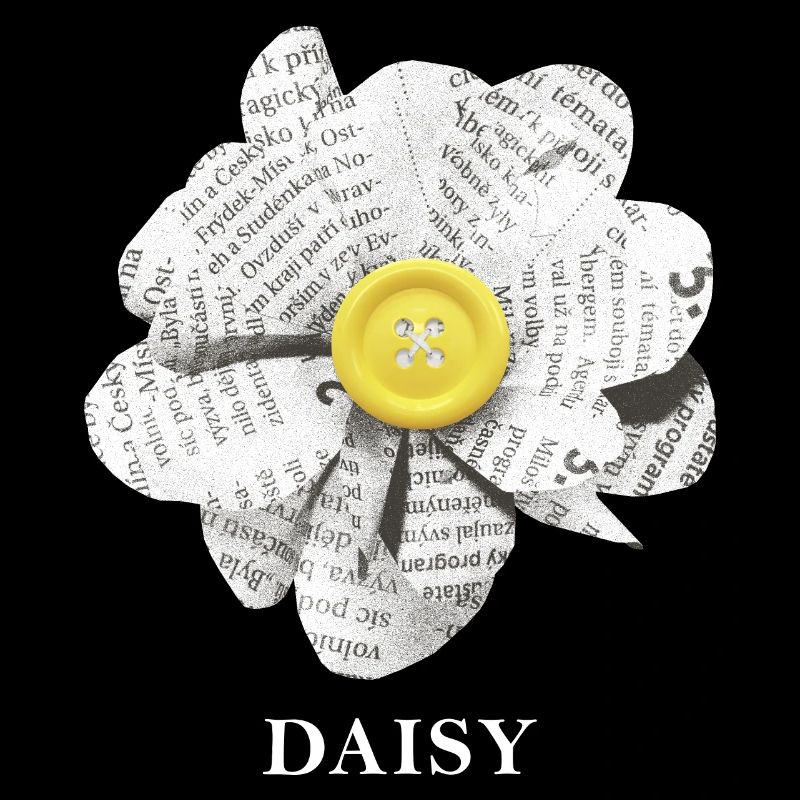 Gänseblümchen-Blume