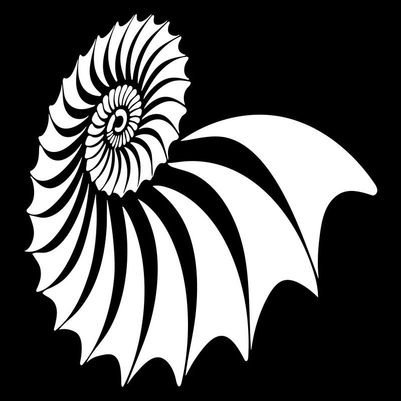 Nautilus Spiral
