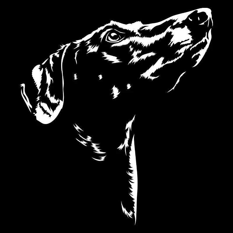 Azawakh Silhouette Windhunde Windhund Wilsigns