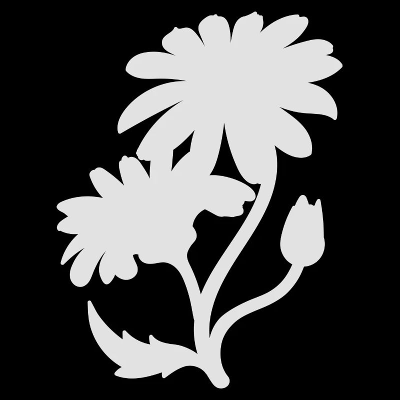 Einfache Gänseblümchen