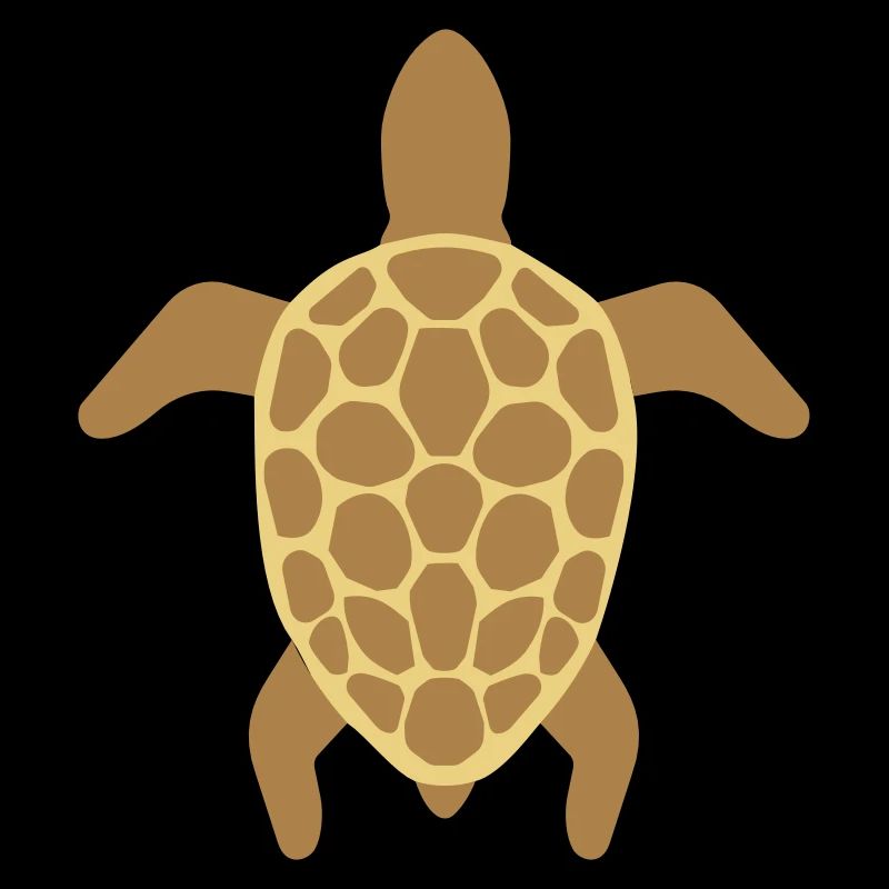 Tortue de mer