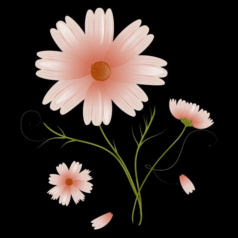 belle illustration de fleurs roses de fleur de cosmea