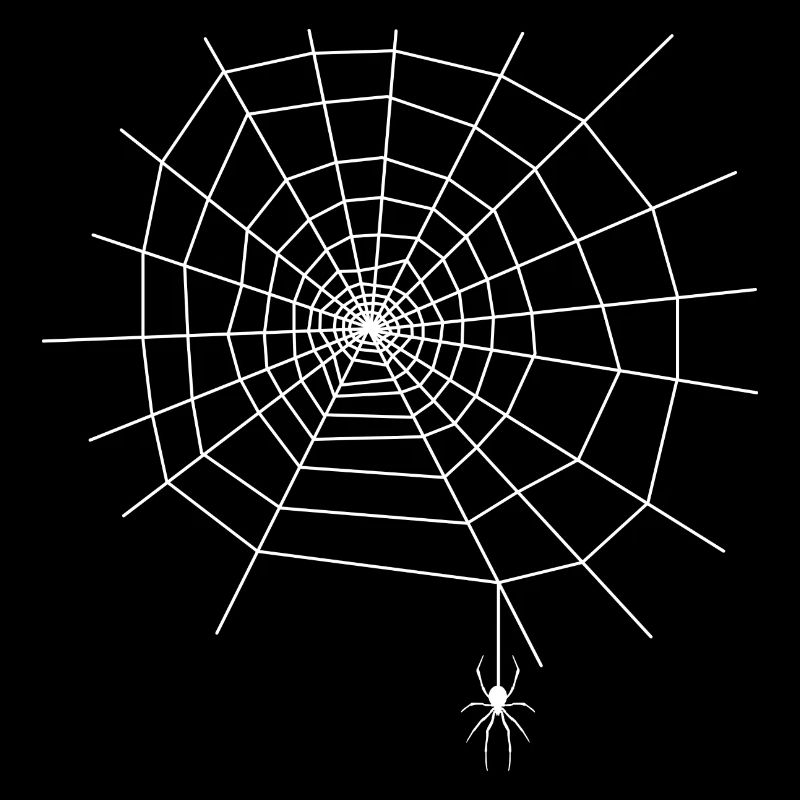 Spider Web Spider