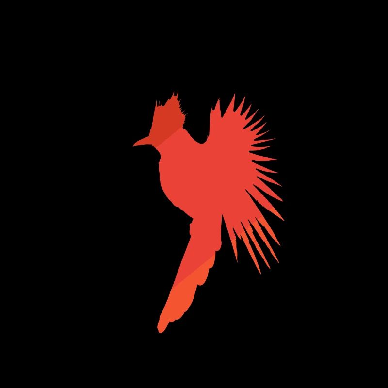 Calopsitte Calopsitte Oiseau